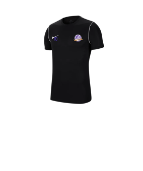 Nike Park 20 T-Shirt Kids Schwarz F010
