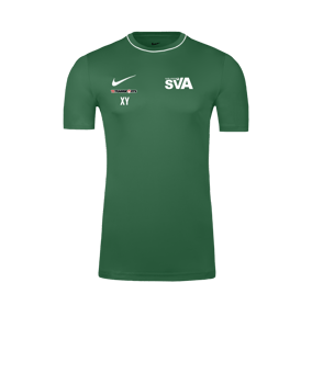 Nike Park 26 Trainingsshirt Grün F302