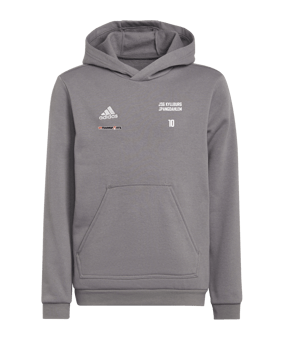 adidas Entrada 22 Hoody Kids Grau