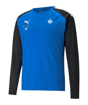 PUMA teamLIGA Trainig Sweatshirt Blau F02