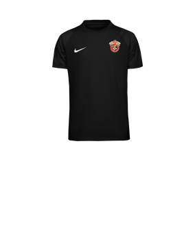 Nike Academy II Trikot Kids Schwarz F010
