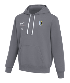 Nike Park 26 Hoody Grau F071