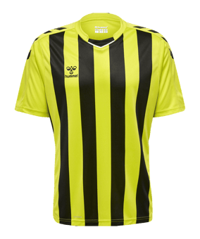 Hummel hmlCORE XK Striped Trikot Grün F5047 - gruen
