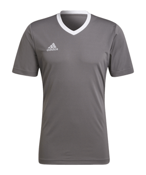 adidas Entrada 22 Trikot Grau Weiss