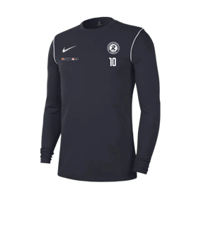 Nike Park 20 Sweatshirt Blau Weiss F451