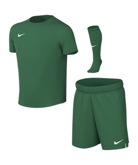 Nike Park VIII Trikot Set Kids Grün F302 - gruen