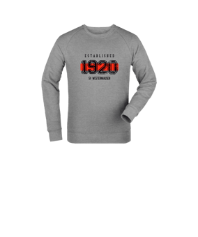Merch Mini Changer 2.0 Sweatshirt Kids Heather Grey | #established