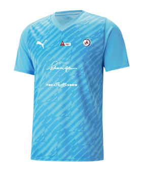 PUMA teamULTIMATE Trikot Blau F18