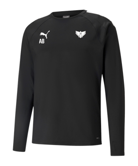 PUMA teamLIGA Training Sweatshirt Schwarz F03
