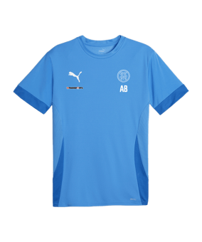 PUMA teamGOAL Matchday Trikot Blau Weiss F02