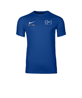 Nike Park VIII Trikot Blau F463
