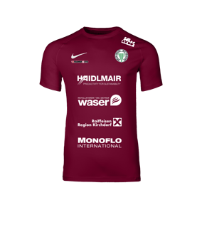 Nike Park VIII Trikot Rot F677