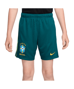 Nike CBF Brasilien Academy Pro Short Kids Grün F381 - gruen