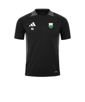 adidas Tiro 24 Comp Training Trikot Schwarz Grau