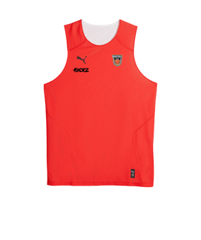 PUMA Hoops Team Reverse Trikot Rot F03