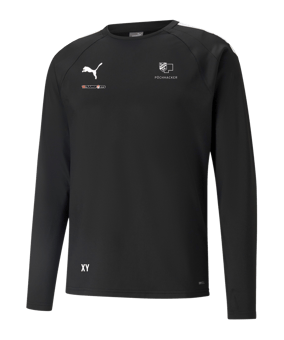 PUMA teamLIGA Training Sweatshirt Schwarz F03