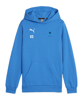 PUMA teamGOAL Casuals Hoody Kids Blau F02