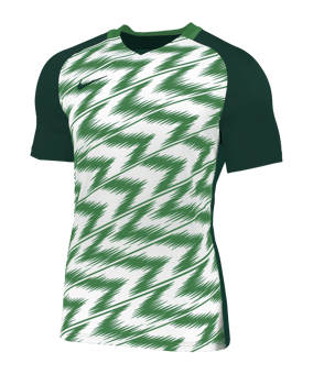Nike Naija Trikot kurzarm Grün Weiss F302 - gruen