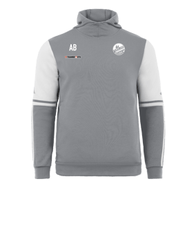 adidas Squadra 25 Hoody Grau