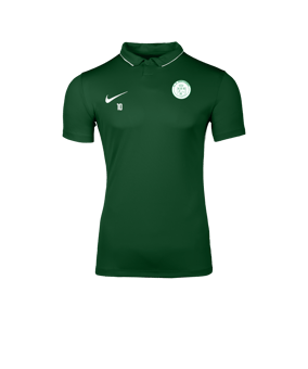 Nike Park 26 Polo Vert C302