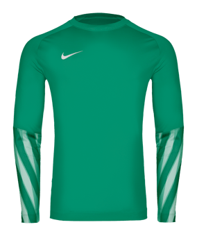 Nike Park V Trikot langarm Grün F324 - gruen