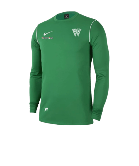 Nike Park 20 Sweatshirt Grün Weiss F302