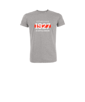 Merch Mini Creator 2.0 T-Shirt Kids Heather Grey | #established