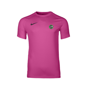 Nike Park VIII Trikot Rosa F616