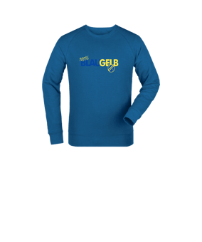 Merch Mini Changer 2.0 Sweatshirt Kids Royal Blue FC230