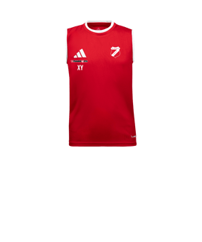 adidas Entrada 26 Trikot Kids Rot