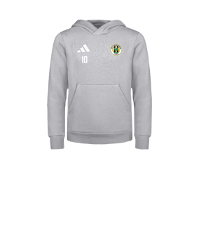 adidas Entrada 26 Hoody Kids Grau