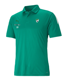 PUMA teamLIGA Sideline Polo Grün Weiss F05