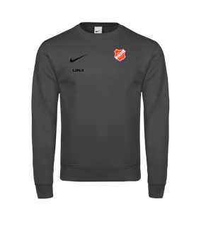 Nike Park 26 Sweatshirt Grau F063