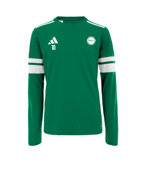 Maillot adidas Squadra 25 vert 