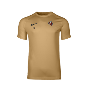 Nike Park VIII Maillot Gold C729