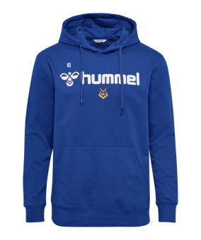Hummel GO 2.0 logo Sweat à capuche bleu F7045