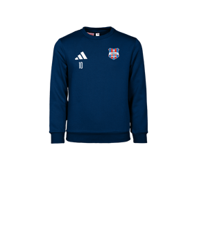adidas Entrada 26 Sweatshirt Kids Blau