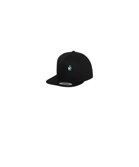 Merch 5 Panel Classic Snapback Cap Black Black | logo4c