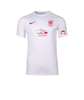 Nike Park VIII Trikot Weiß F103