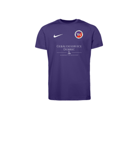 Nike Park VIII Trikot Kids Lila F547