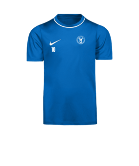 Nike Park 26 Trainingsshirt Kids Blau F463