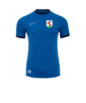 Nike Academy 25 Trainingsshirt Blau F463