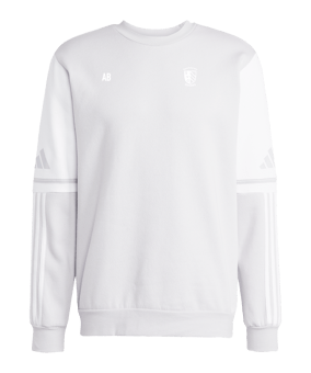 adidas Squadra 25 Sweatshirt Grau