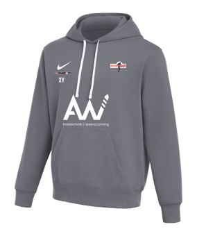 Nike Park 26 Hoody Grau F071