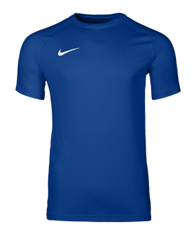 Nike Park VIII Trikot Blau F463 - blau