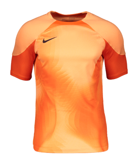 Nike Gardien IV Torwarttrikot Orange F819 - orange