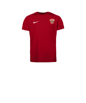 Nike Park VIII Trikot Kids Rot F657