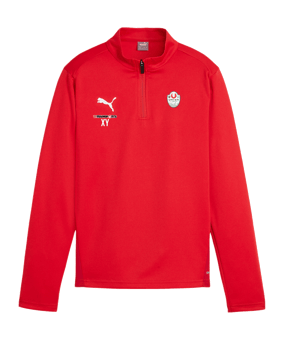 PUMA teamGOAL Training 1/4 Zip Sweatshirt Kids F01