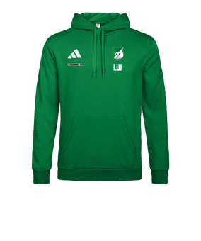 adidas Entrada 26 Hoody Grün