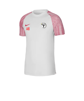 Nike Academy Trikot Weiss Rot F100